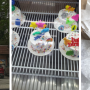 Elsalvadorbakery - 172 Windy Hill Rd SW Marietta, GA 30060